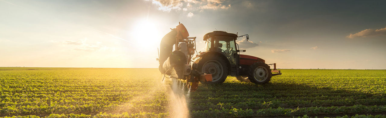 Tractor in a field with the sun behind